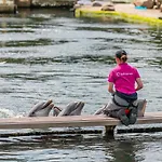 Europarcs Veluwemeer 3* Nunspeet