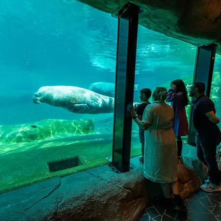 Europarcs Veluwemeer 리조트 3*