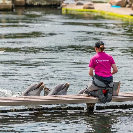 Europarcs Veluwemeer 3* Nunspeet