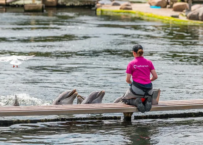 Europarcs Veluwemeer 3* Nunspeet