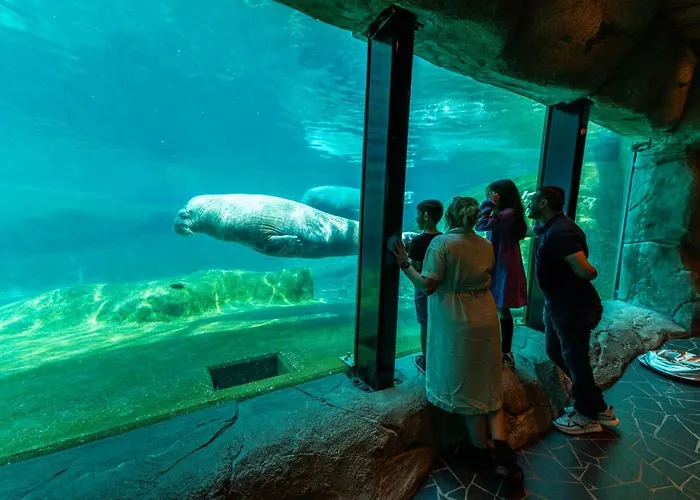 Europarcs Veluwemeer منتجع 3*